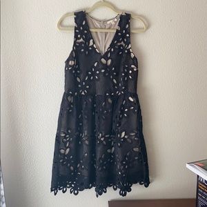 NEW Black and cream fit and flare lace dress
